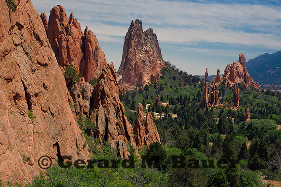 Nature's Skyscrapers