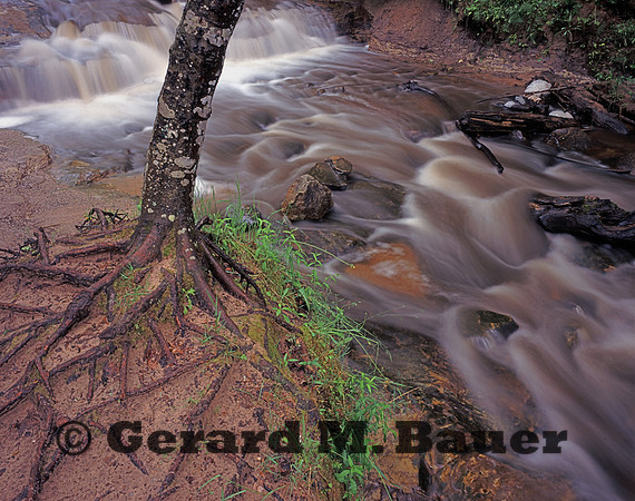 Sable Creek
