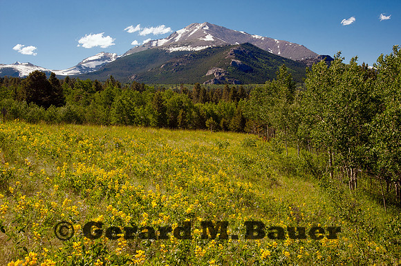 Mt. Meeker