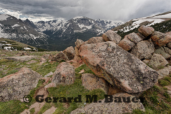 Tundra Landscape
