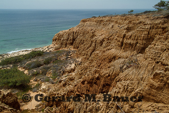 Torrey Pines Vista